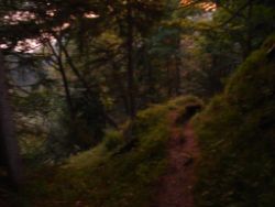 2013-07-20_Regina-F-Rau_Kochel-Rabenkopf (672).JPG